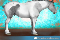 Horse Color:Blue Roan Tobiano 
