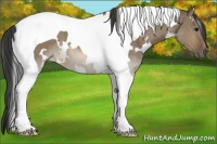Horse Color:White Spotted Buckskin Dun Tobiano