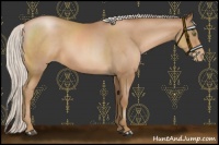 Horse Color:Silver Brown Roan Pearl 