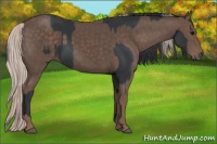 Horse Color:Black and Silver Black