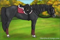 Horse Color:Black Sabino