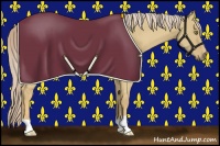 Horse Color:Palomino Dun