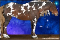 Horse Color:White Spotted Liver Chestnut Snowcap 