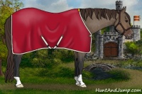 Horse Color:Brown Dun Appaloosa 