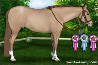Horse Color:Black Pearl 