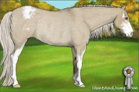 Horse Color:Silver Smoky Grullo Roan Sabino Appaloosa Rabicano 