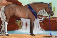 Horse Color:Silver Bay Rabicano