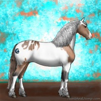 Horse Color:Buckskin Appaloosa and Silver Buckskin Appaloosa