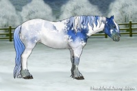 Horse Color:Watercolor White Spotted Liver Chestnut Ice 