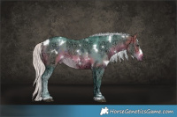 Horse Color:Watercolor White Spotted Silver Bay Ice