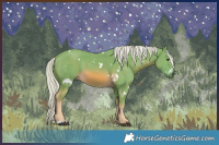 Horse Color:Watercolor White Spotted Chocolate Palomino 
