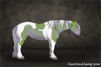 Horse Color:Watercolor Liver Chestnut Tobiano 