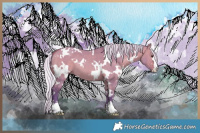 Horse Color:Watercolor White Spotted Silver Bay Dun 