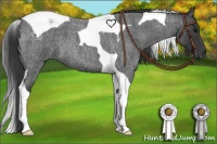 Horse Color:Smoky Blue Roan Tobiano