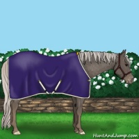 Horse Color:Silver Smoky Black Varnish 