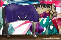 Horse Color:Buckskin Dun 