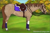 Horse Color:Red Dun 