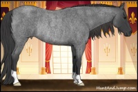 Horse Color:Smoky Blue Roan Rabicano 