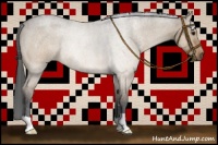 Horse Color:Bay Roan Dun Rabicano Brindle 