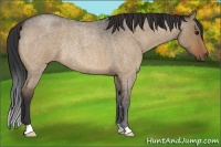 Horse Color:Bay Roan Dun Rabicano 