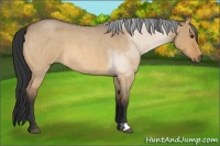 Horse Color:Bay Roan Dun Brindle