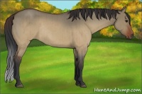 Horse Color:Brown Roan Dun Rabicano Brindle