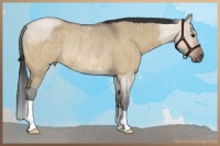 Horse Color:Bay Roan Dun Rabicano Brindle 