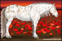 Horse Color:Gold Champagne Appaloosa and White Spotted Liver Red Dun Roan Splash Appaloosa