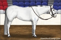 Horse Color:White Spotted Bay Near Fewspot Rabicano 