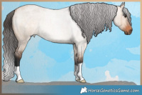 Horse Color:Brown Roan Dun Brindle 