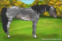 Horse Color:Brown Ice 