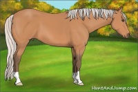 Horse Color:Silver Bay