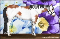 Horse Color:White Spotted Bay Frame 