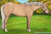 Horse Color:Silver Sable Champagne 