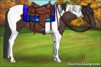 Horse Color:Bay Tobiano 