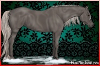 Horse Color:Silver Black 