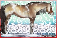 Horse Color:White Spotted Liver Red Onyx 