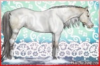 Horse Color:White Spotted Liver Red Dun Sabino 