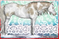 Horse Color:White Spotted Liver Chestnut Ice Pearl Splash 
