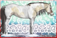 Horse Color:Liver Red Dun Onyx Tobiano 