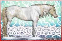 Horse Color:White Spotted Liver Red Dun Pearl Tobiano Rabicano 