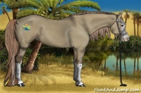 Horse Color:Liver Red Dun Sabino Splash 