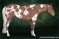 Horse Color:White Spotted Chocolate Silver Black