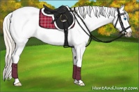 Horse Color:Chocolate Palomino Sabino Splash Frame Rabicano 