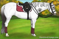 Horse Color:White Spotted Liver Chestnut Splash Tobiano Frame
