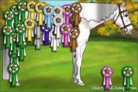 Horse Color:White Spotted Bay Frame 