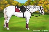 Horse Color:White Spotted Chestnut Splash Tobiano Frame Appaloosa 