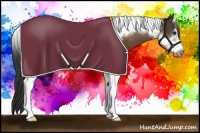 Horse Color:Brown Tobiano Frame Varnish 