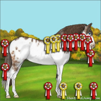 Horse Color:Bay Sabino Splash Frame Appaloosa Rabicano