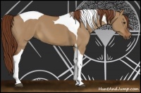 Horse Color:Red Dun Tobiano